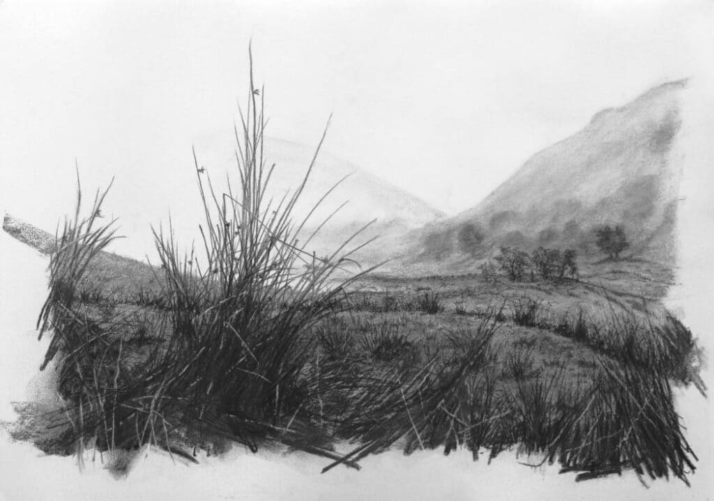 Seatoller mist and sedge grass